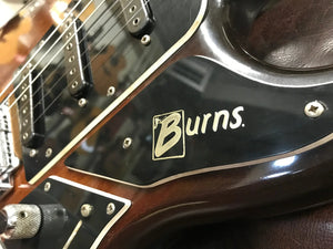 Burns Marvin in Brown Sunburst 1980s