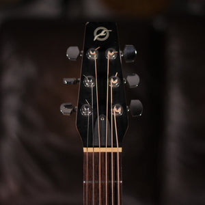 USED - Seagull ASE01A headstock
