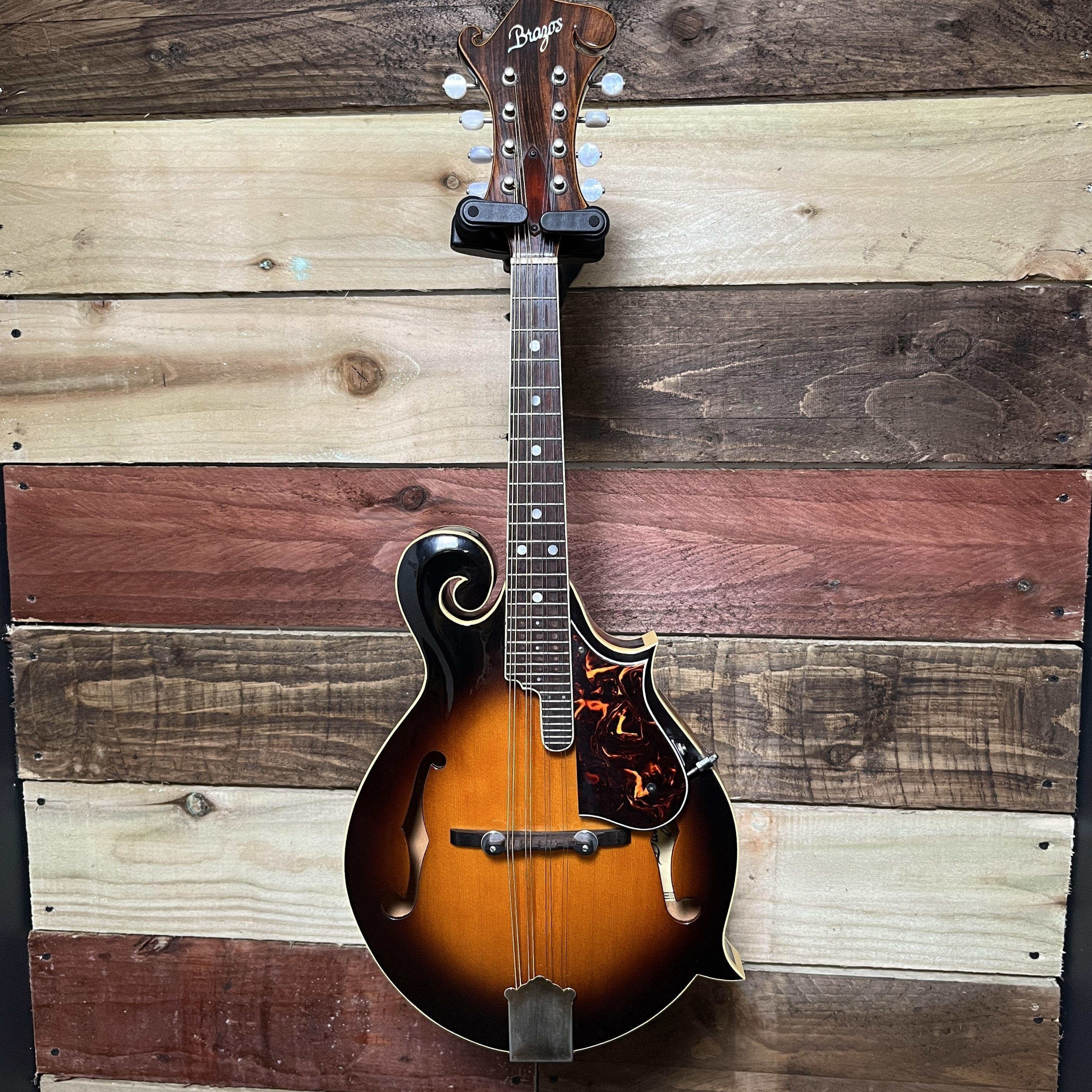 Brazos M-78 F-Style Solid Spruce Top Made in Japan 1980's - Sunburst