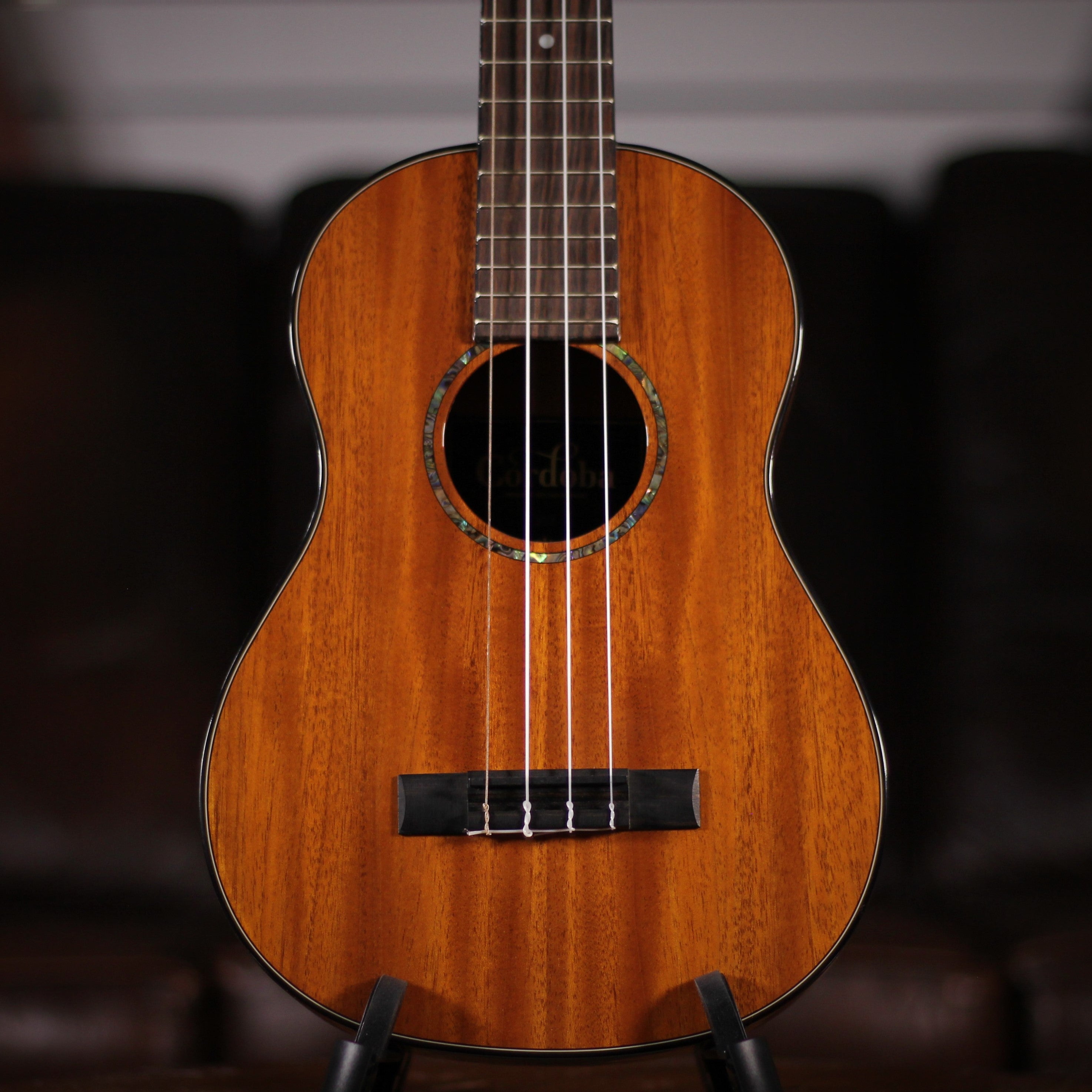 Cordoba 30T Tenor Ukulele - Tenor available at Foulds Guitars Derby