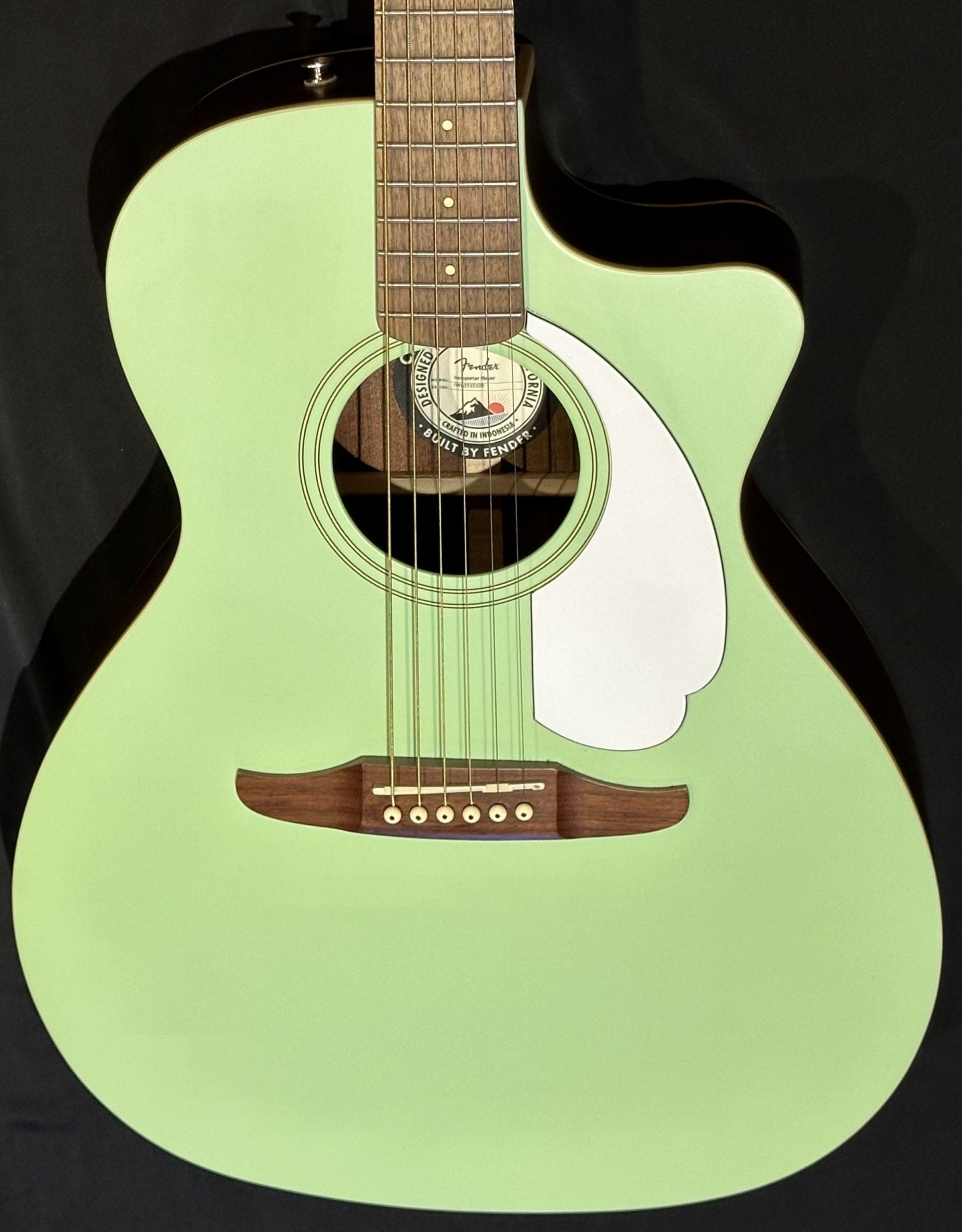 2023, Fender Player Newporter Electro-Acoustic