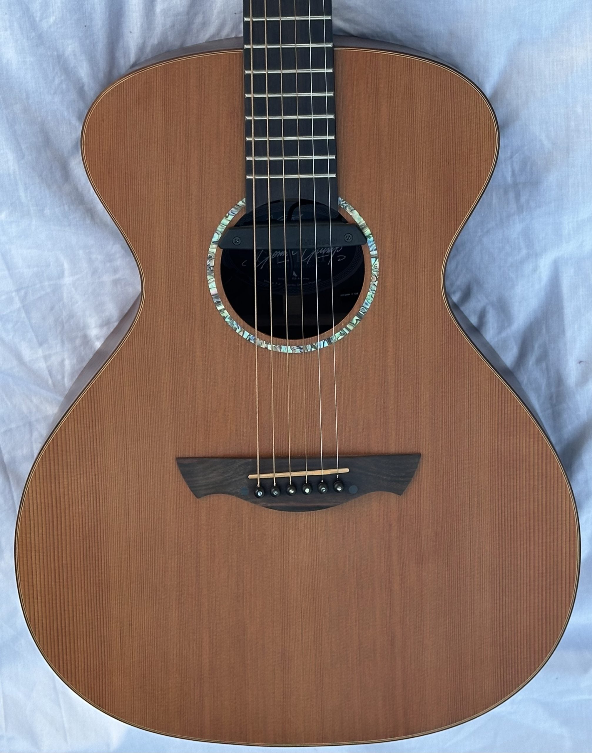 JHS Vintage Gordon Giltrap VE2000DLX electro-acoustic guitar