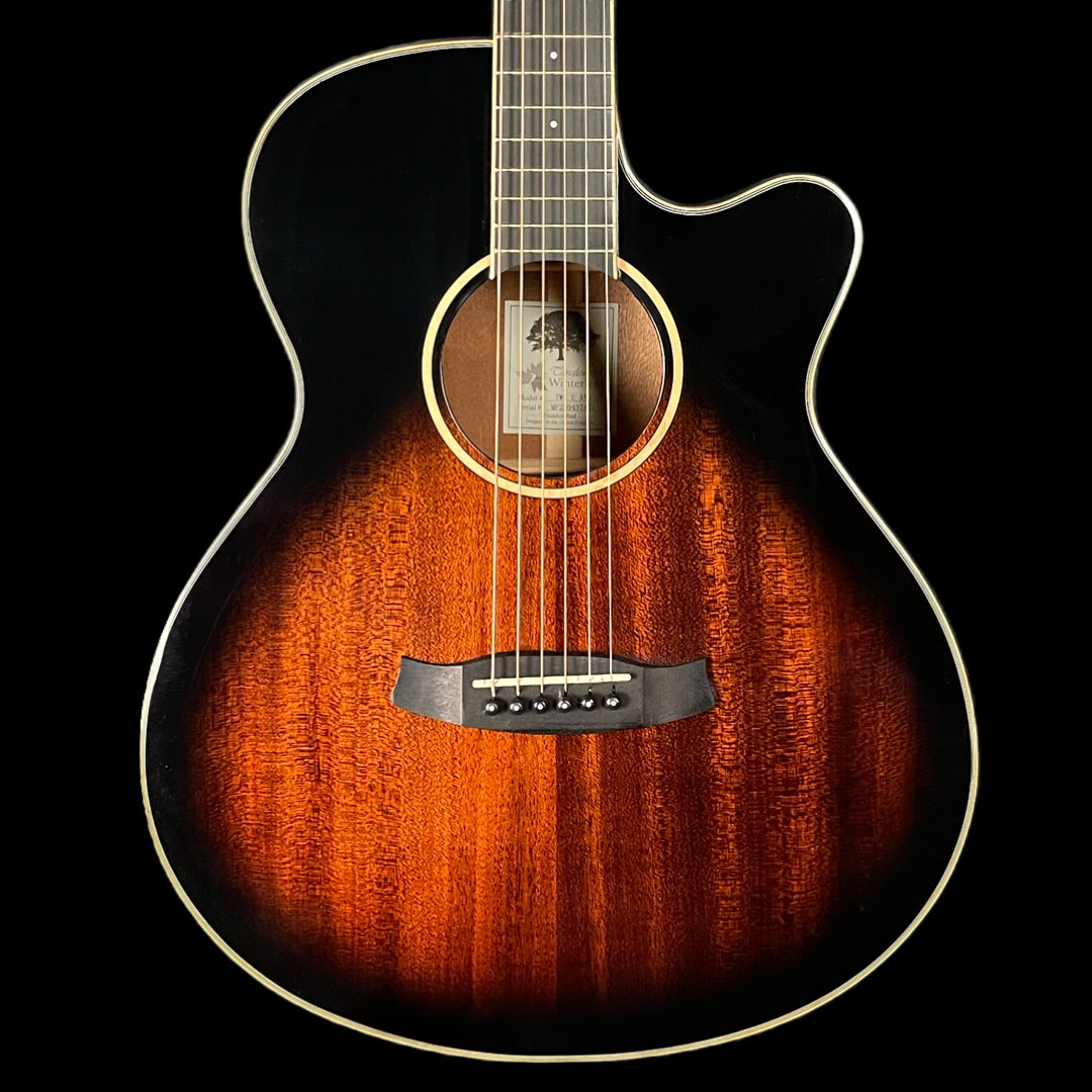 Tanglewood TW4 E AVB Winterleaf Super Folk Electro Acoustic Guitar