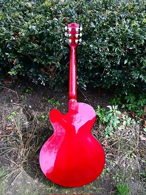 Gibson EC-10 1990s - Wine