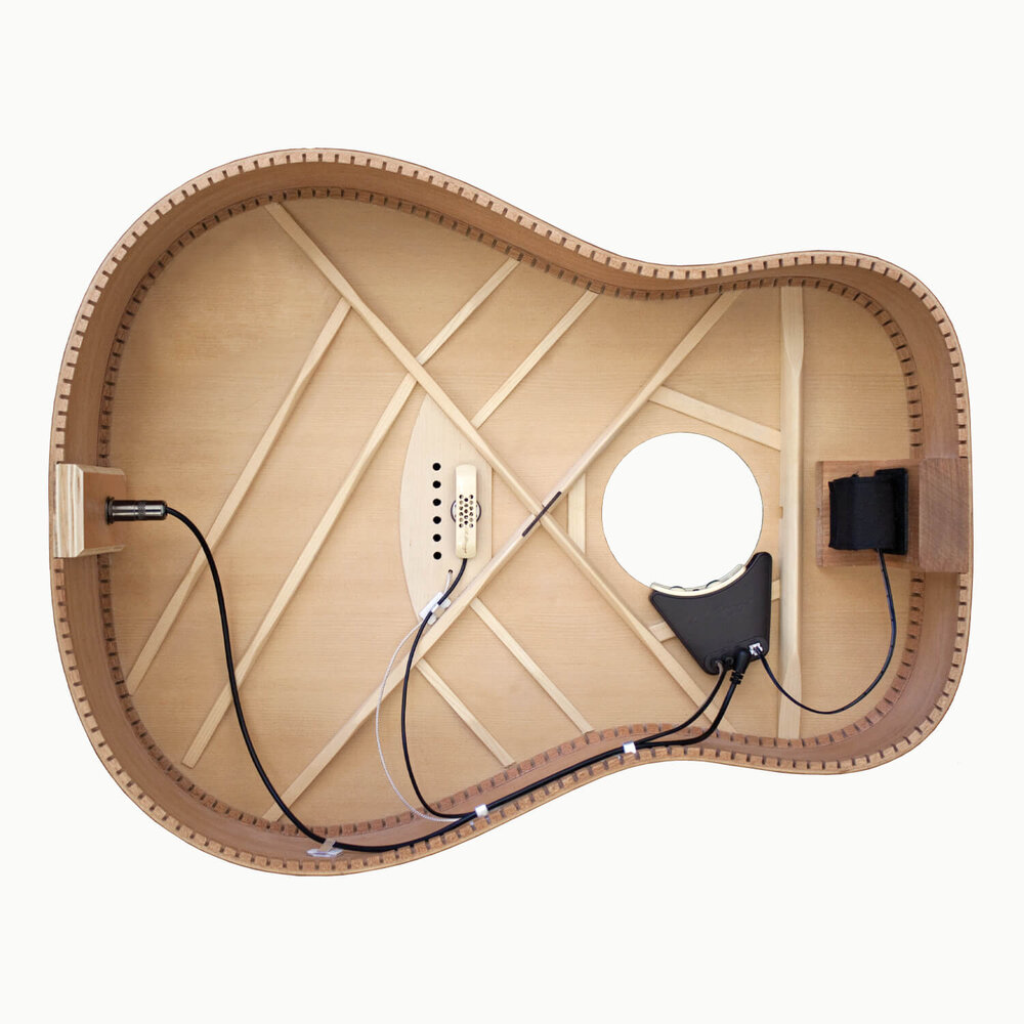 LR Baggs Anthem Element/Mic Pickup System