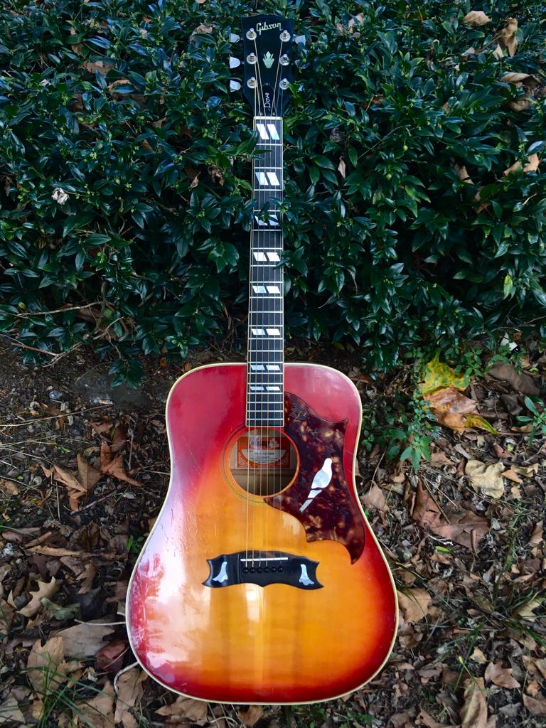 Gibson Dove 1970s - Cherry Sunburst