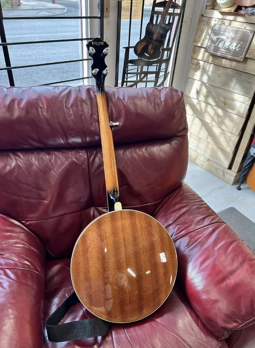 Ibanez 5 string banjo