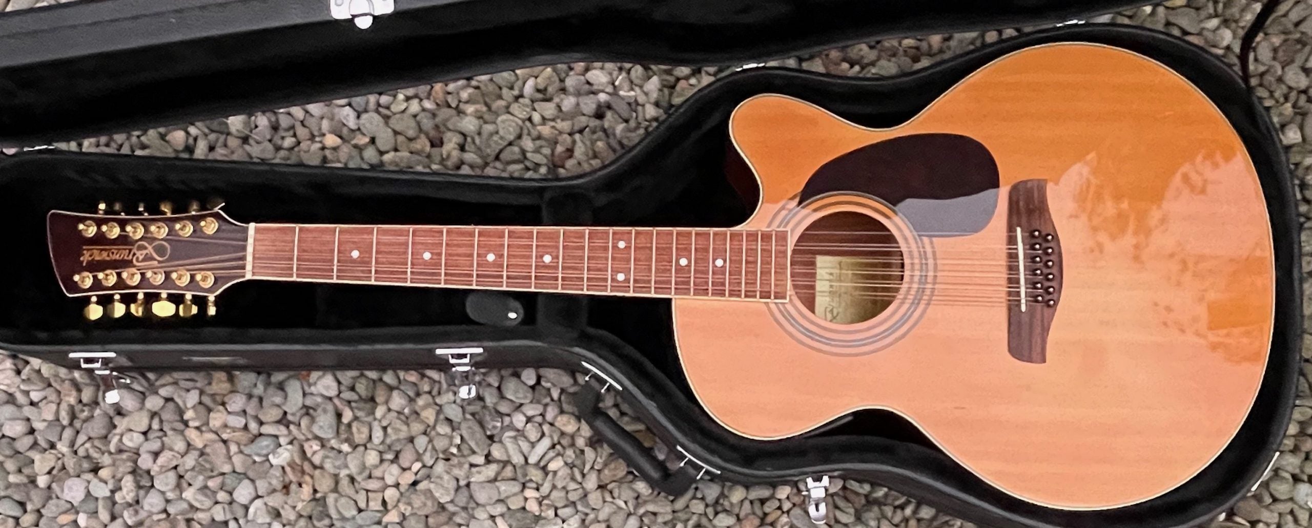 Brunswick 12 String Electro-Acoustic.